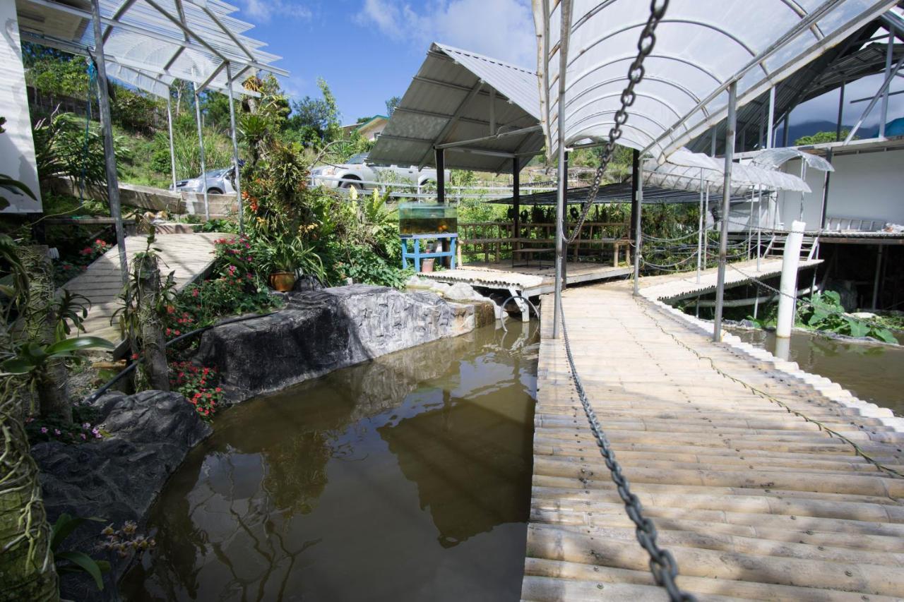 Amazing Grace Lodge Kundasang Exterior photo