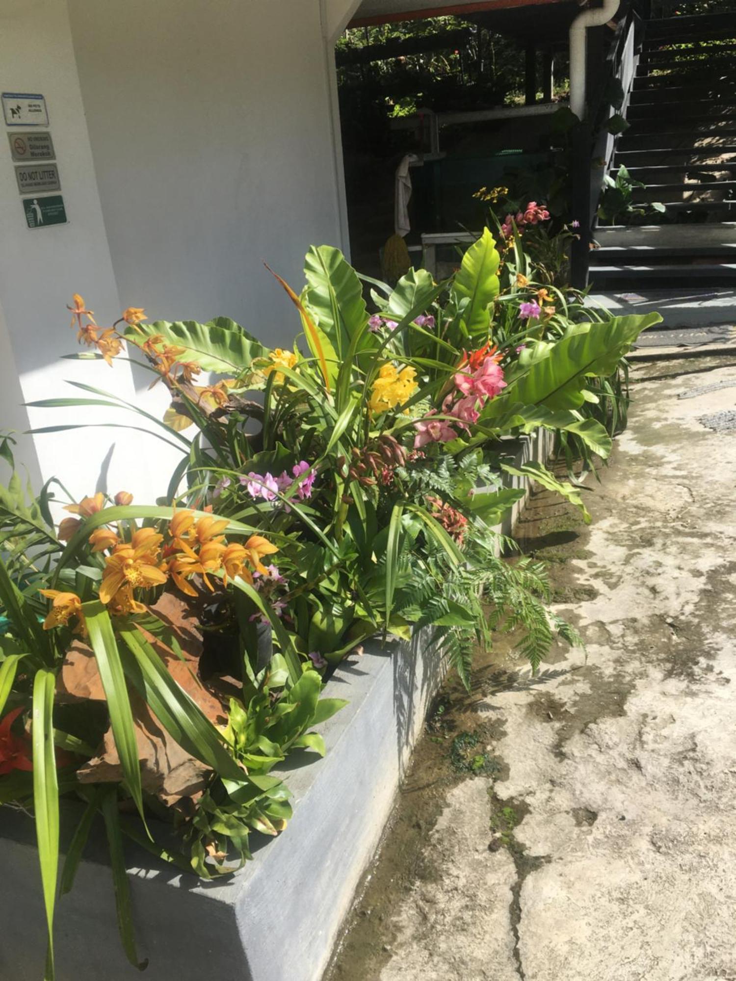 Amazing Grace Lodge Kundasang Exterior photo
